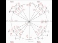 How to fill out the Unit Circle and easily reproduce it.