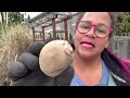 Unexpected Garden Adventures: Planting Potatoes & Reviving Soil | Urban Homestead VLOG