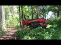 NEW FECON Mulching Head on Kubota SVL95-2S Eats Tree!