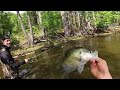 CRAPPIE The Size Of DINNER PLATES 🍽️ CRAPPIE Fishing In Shallow Water!!