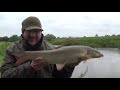 Barbel fishing on a rising river Swale