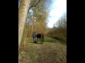 wandelen Supermatic westhoffbos naast stal Spaarndam