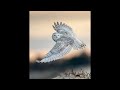 Wildlife Birds of Prey Owl Rapaces Nocturnas Buho Real, Lechuza Chapter 01
