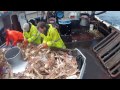 Snow Crab Fishing May 2012