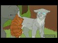 Top 20 Worst Warrior Cats Parents