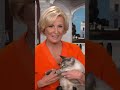 Mika's CAT claps back at JD Vance's 'childless cat ladies' comments