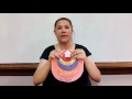 Teaching Geography Using Circular Cutouts | TLM for Social Science