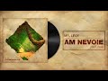 Mr.Levy feat. FDD - Am Nevoie