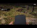 Impossible to find this without any guide - RDR2