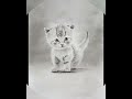 How to draw a cute beautiful little kitten pencil drawing?