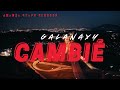 Galanaxy - Cambie