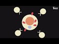 mRNA vaccines, explained