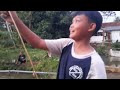 Mancing Paling Heboh Sedunia !!! Video Mancing Di Desa !!! Umpan Bakwan Anget