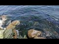 Шум моря 🌊 та звуки прибою 🎧 для спокійного, міцного сну та оздоровлення нервової системи! 🎁🙏