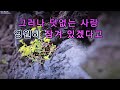 #외로운술잔 #원곡 배철수#cover #석호 #