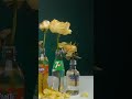 Flowers in Vodka vs Soft Drinks Experiment