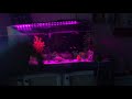 55 Gallon Acrylic Turtle Tank  (Preview)