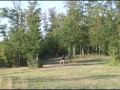 Discraft Disc Golf Clinic: Overhead Shot Techniques