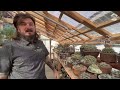 IF YOU COLLECT PLANTS STOP AND WATCH THIS: GARDEN GNOME GREENHOUSE TOUR W/ @CHARLIESUCCS