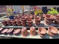 Bonsai Pot and tool sale 4.28.24