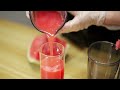 BioloMix SJ-023 Watermelon Juice