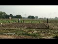 Village life | Village lifestyle | India | Bihar | Village Vlog video 2022 |Fun Friend Bihari
