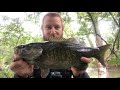 Fishing with Creek Chubs and River Shiners for Fall Smallmouth Bass and Northern Pike!