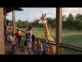 Fly-through rendering of Saint Louis Zoo WildCare Park