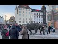 Oslo 4K Norway Walking Tour February 2024