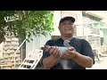 Part 1 Secret of Allan Bautista in Pigeon Racing