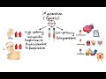 Pharmacology - ANTIPSYCHOTICS (MADE EASY)