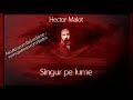 Hector Malot - Singur pe lume