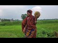 আজ আমাদে মুরগির পা দিয়ে কি রান্না করলো \ Simple Village Cooking