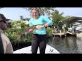 Cape Coral Fishing - Snook on the Hook!! /w @ReelSanibelFishingCharters