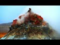 DANGEROUSLY BEAUTIFUL COLORS | 8K HDR Dolby VISION™ (LAVA EDITION)