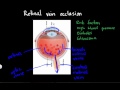 Retinal vein occlusion