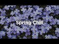 Spring Chill 2024 🌺 Chill House Vibes 🌼