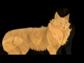 TOP TEN MOST FORGOTTEN WARRIOR CAT CHARACTERS(please read the description about the video is about)