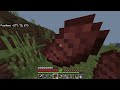 S2 #3   Getting villagers and going to the nether
