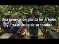 Proverbios y refranes chinos muy sabios | Sabiduría China