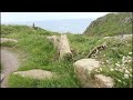 Tales of ancient forts, cairns & shipwrecks: Maen Castle and Mayon Cliff, near Land's End, Cornwall