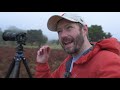 Photographing the most MAGICAL FOREST on EARTH