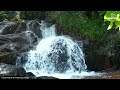 THE BEST MORNING MUSIC - Positive Euphoric Energy To Wake Up Happy - Calm Morning Meditation Music