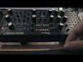 Moog Labyrinth - First Techno Encounter