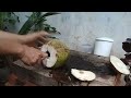 the easy to peel young coconut part 14#cuttingskills #coconutcuttingskills #youngcoconut#coconuttree