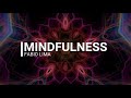 ✅ MINDFULNESS: 10 MINUTOS - MEDITAÇÃO GUIADA  / FABIO LIMA