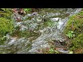 한라산 계곡물소리(1시간), 자연의 소리, 백색소음, 평온, 안정, 명상, asmr, healing, relaxing water Stream 1hours