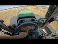 Kosimy pszenicę na największym polu Żniwa 2024