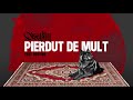 Serafim - Pierdut de mult feat. Regyna