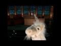 Late Late Show Craig Ferguson - Unicorns Are Gay